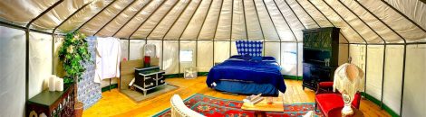 162539045_3789432801152322_3471174341635879129_n (1)